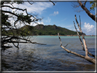 foto Flora e la Fauna alle Seychelles